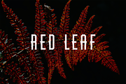 Kedleon, a Sans Serif Font by lelevien (Thumbnail 2 of 5)
