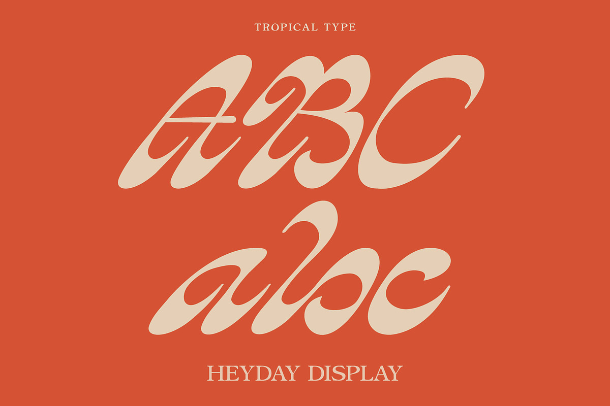 HEYDAY DISPLAY FONT, a Script Font by Tropical Type (Photo 5 of 11)