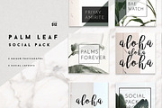 8 Pack Instagram Social Palm Layouts, a Templates & Theme by Aloha Philly (Thumbnail 1 of 7)