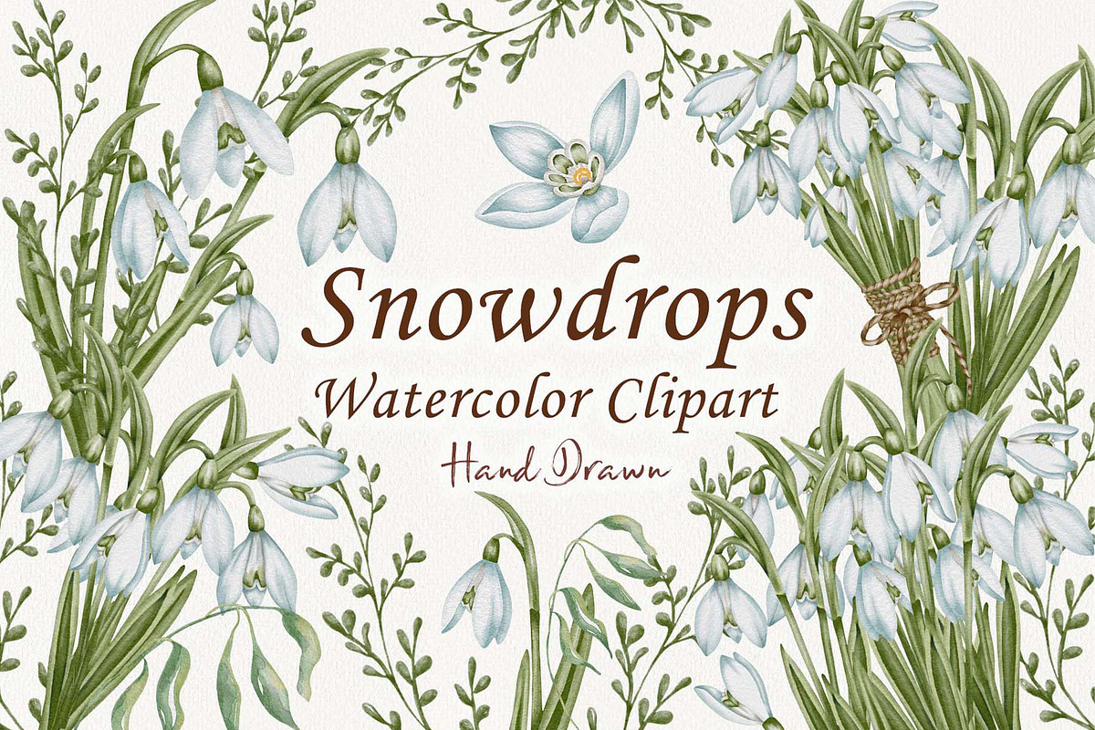 Snowdrops Hand Drawn Clipart, a Seasonal Illustration by BarvArt (Photo 1 of 5)