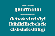 Bright Almond, a Serif Font by zeenesia (Thumbnail 14 of 17)