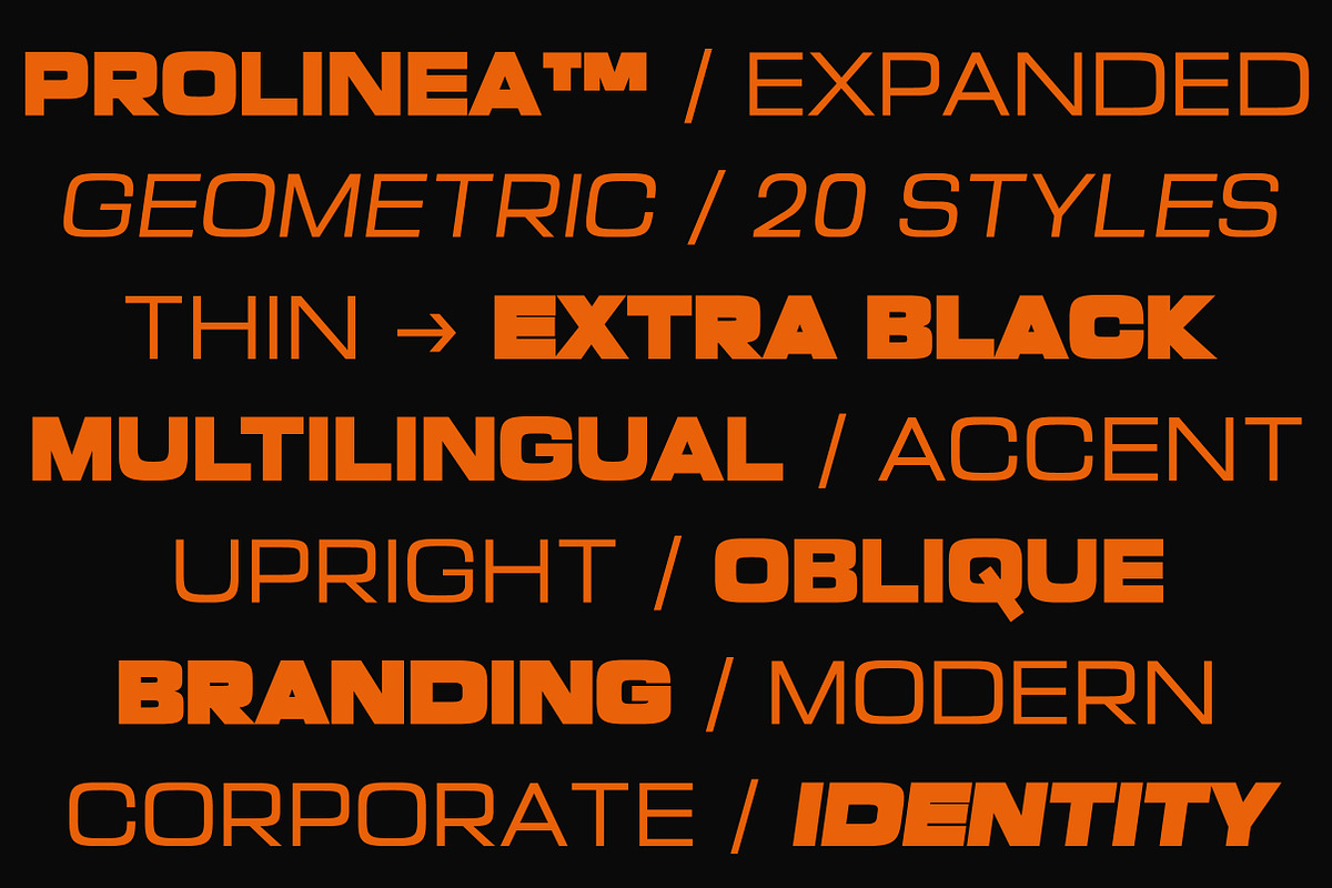 Prolinea Family | Intro 75% OFF, a Sans Serif Font by Lettertype Studio (Photo 11 of 15)
