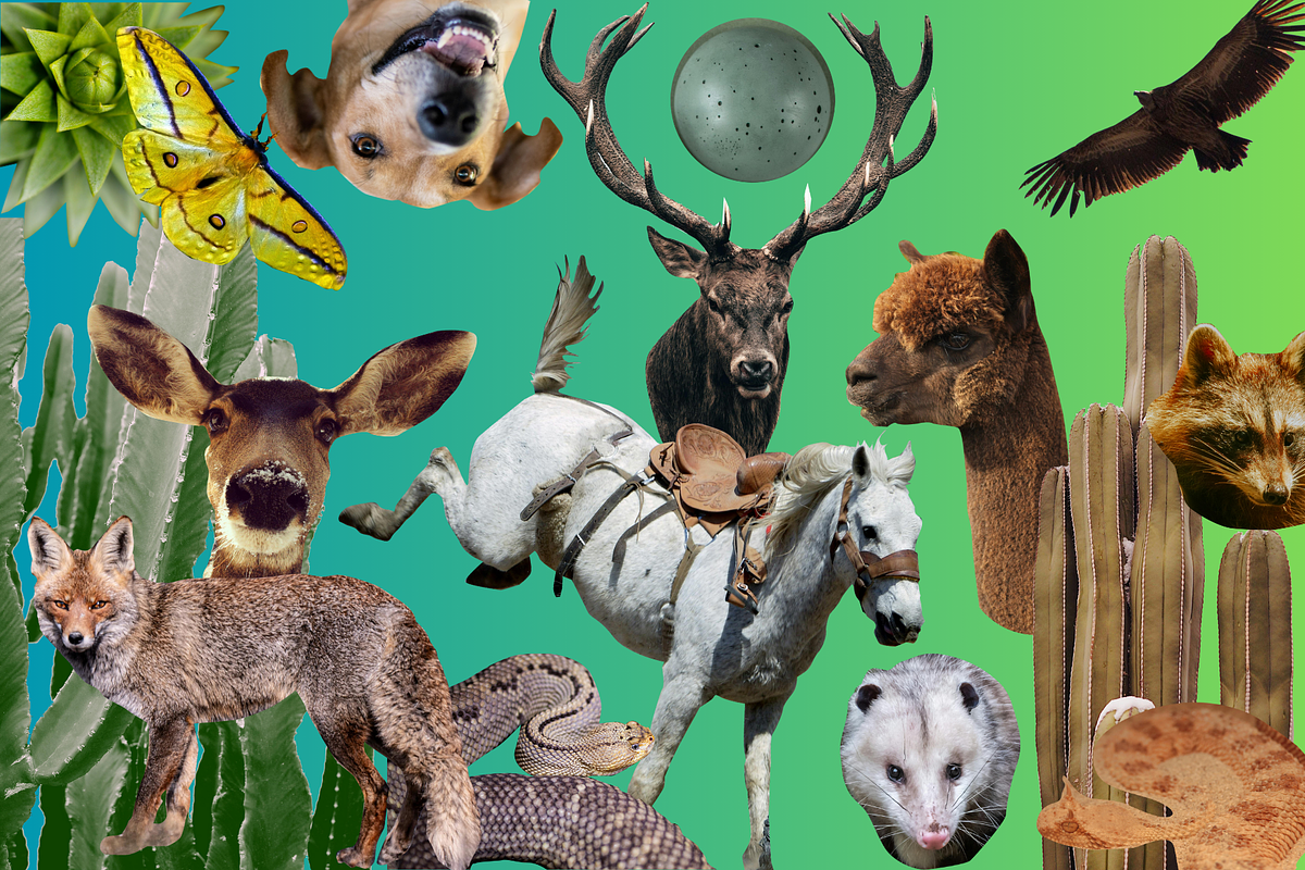 RETRO COLLAGE Creator & Abstract, an Object Graphic by TatianaBannikova (Photo 6 of 7)