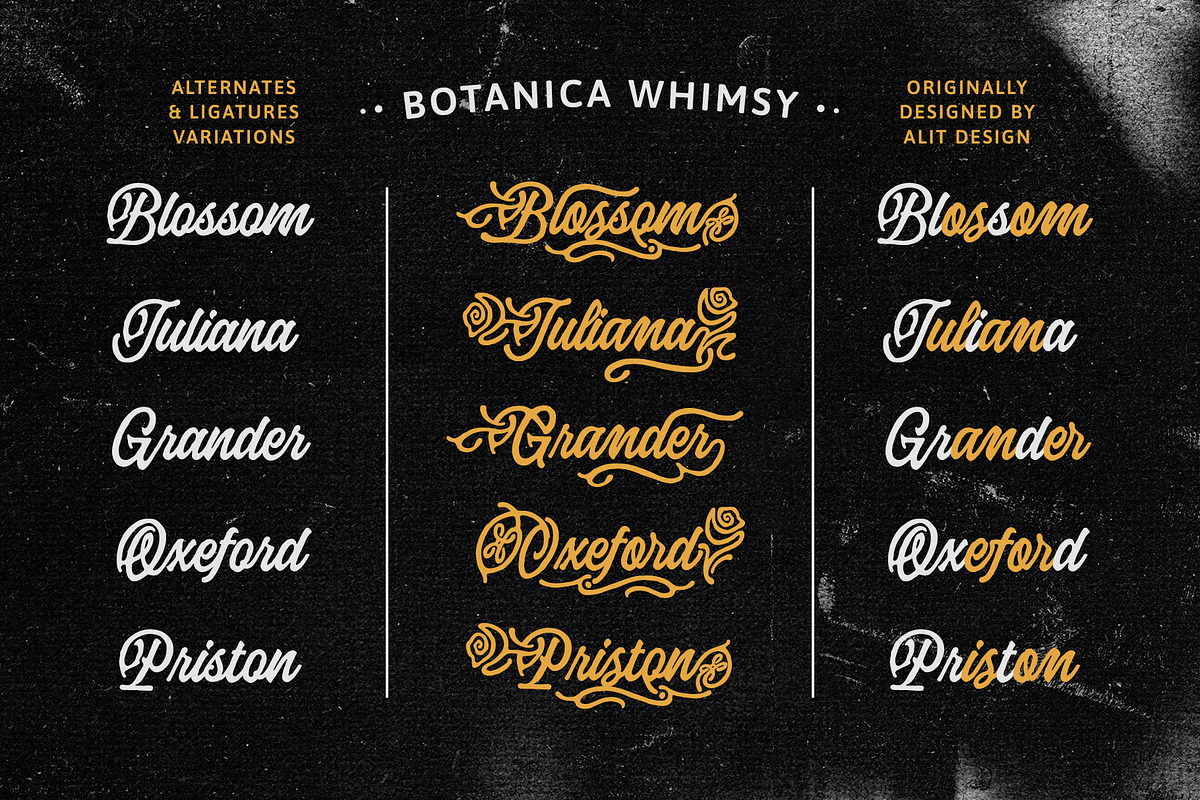 Botanica Whimsy Typeface, a Script Font by alit design (Photo 14 of 20)