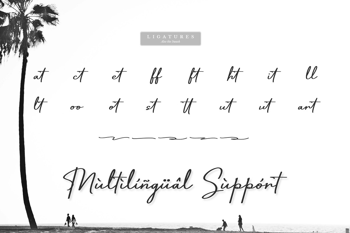Uttahime | Modern Signature Font, a Script Font by gracetype_studio (Photo 14 of 15)