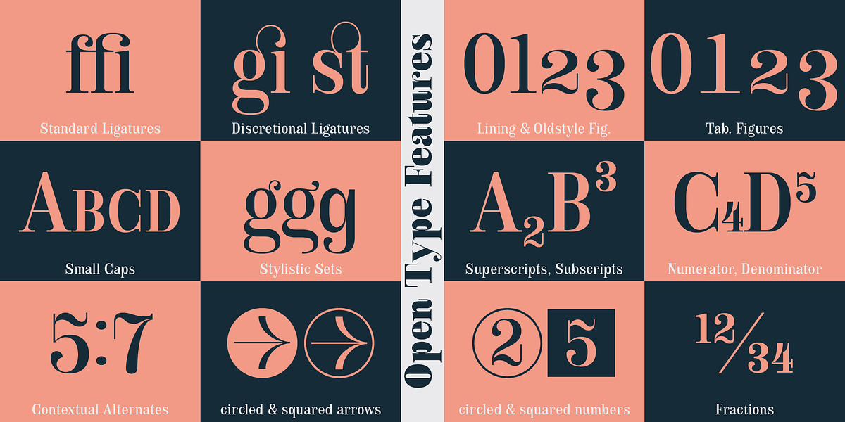 Royalis, a Serif Font by Julien Fincker (Photo 12 of 15)