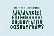 DW Castlereagh - Vintage Font, a Handwritten Font by Walker Design Co. (Thumbnail 4 of 7)