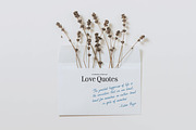 Simple Elegance Script, a Handwritten Font by DesignThatMatters (Thumbnail 9 of 15)