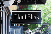 Timeless Silvera Alternate Serif, a Serif Font by Letterena Studios (Thumbnail 7 of 15)