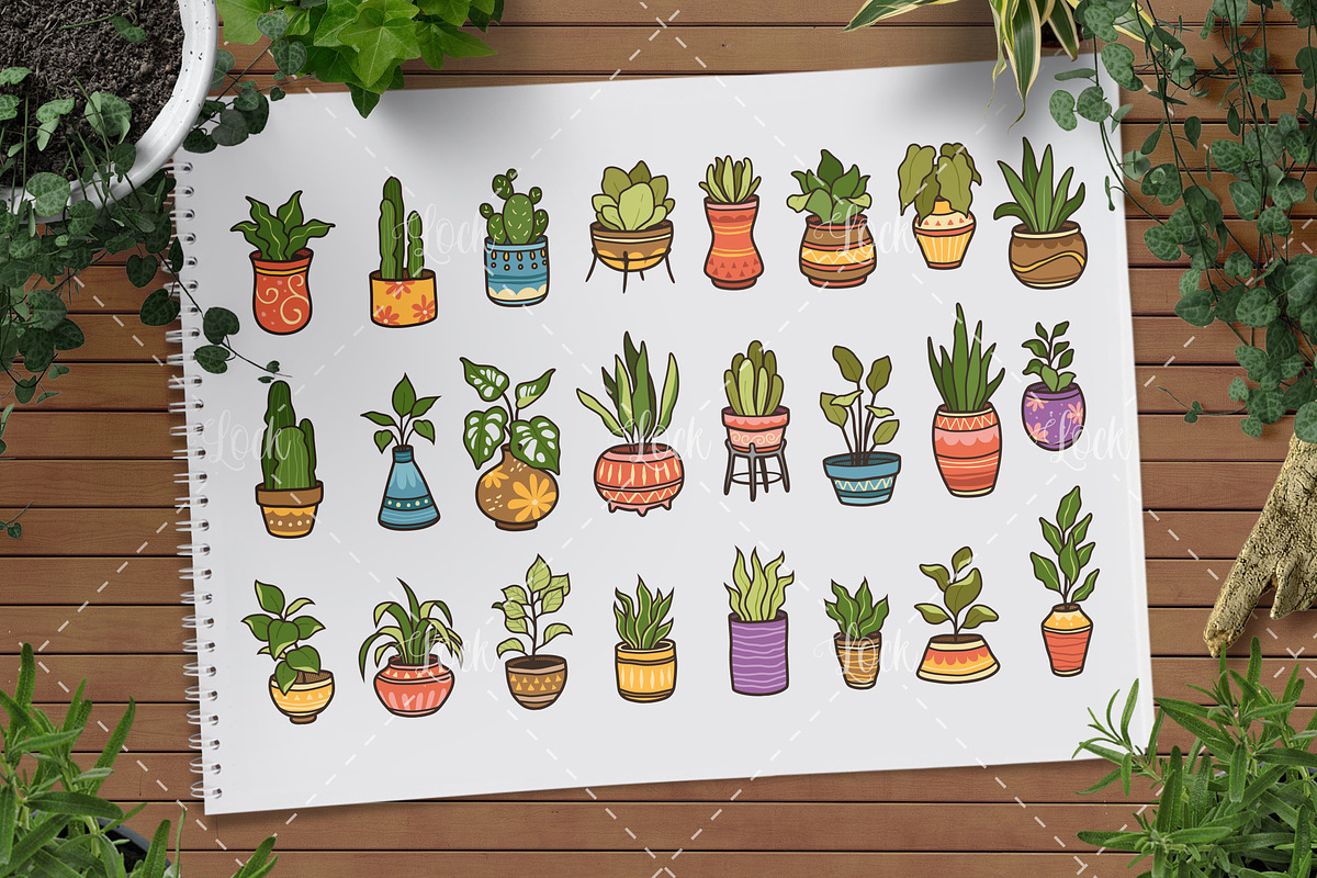 Set of Houseplants isolated design, a Decorative Illustration by Allmostudio (Photo 2 of 4)