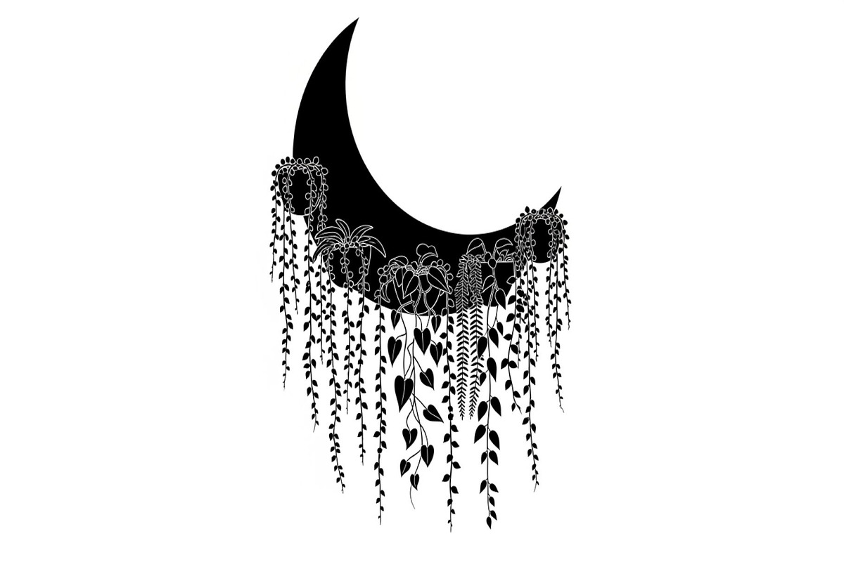 Hanging Moon with Plants Bundle, an Illustration by Designs_River (Photo 25 of 31)