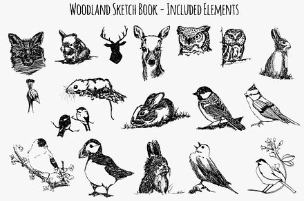 Woodland Animal Sketch Vector Bundle