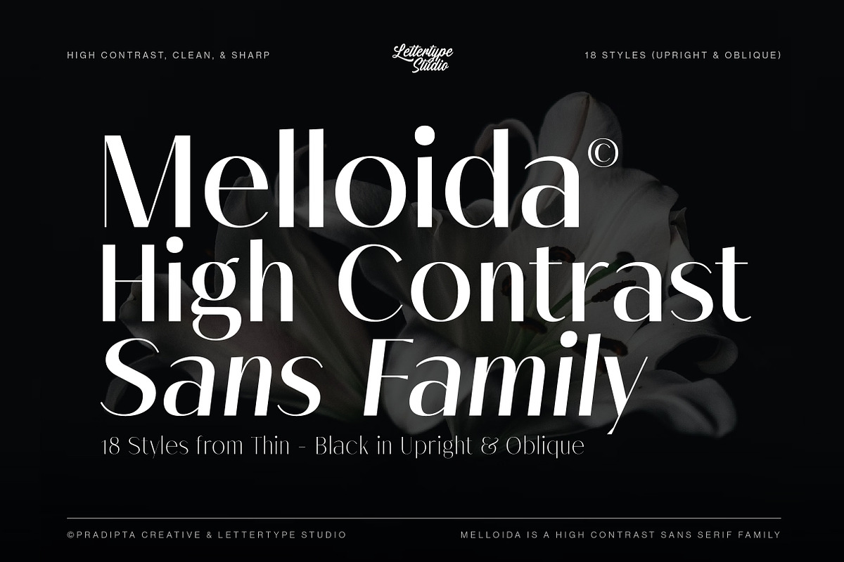 Melloida High Contrast Sans Family, a Sans Serif Font by Lettertype Studio (Photo 1 of 15)