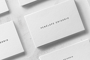 Penelope Business Card Template, a Business Card Template by The Denizen Co. (Thumbnail 5 of 5)