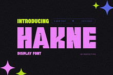 Hanke Modern Sans Serif Font