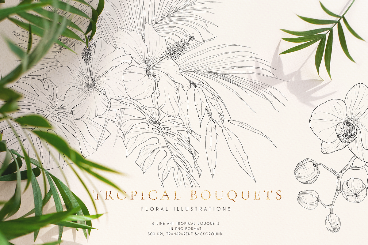 Tropical paradise. Line art set, an Illustration by Pamyatka Shop (Photo 3 of 13)