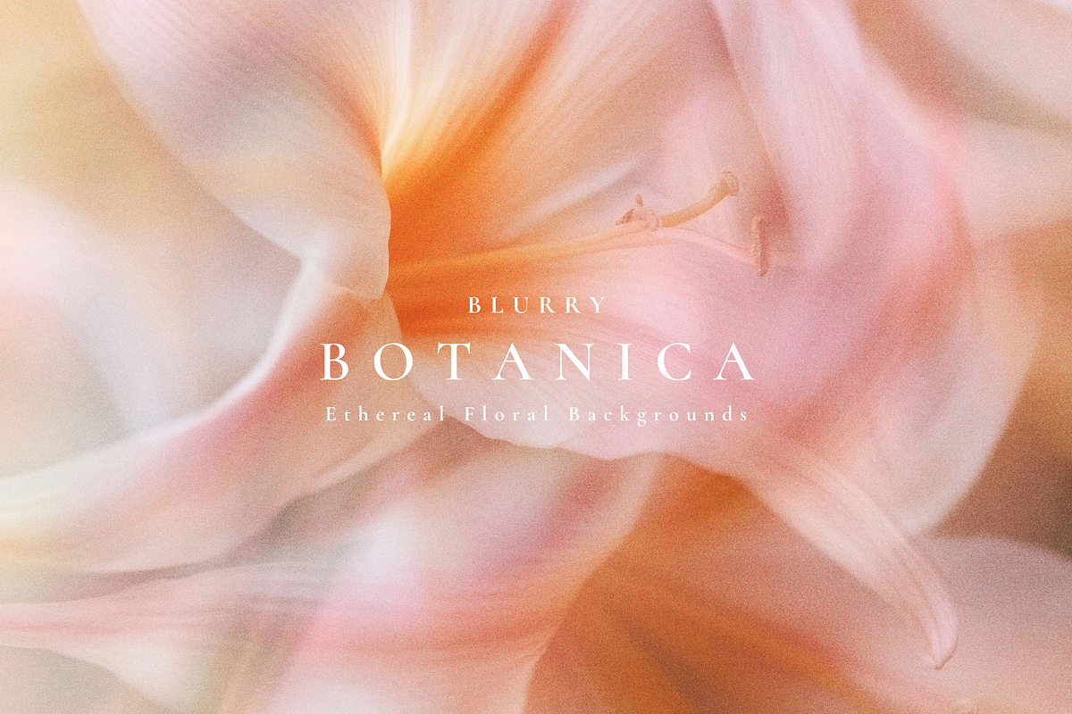 Aesthetic Blurry Floral Backgrounds, a Background Graphic by Altea Design Studio (Photo 10 of 14)
