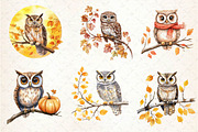 Autumn Owl Clipart Sublimation, an Illustration by Dream Creation (Thumbnail 5 of 6)