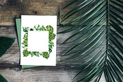 Watercolor jungle set, an Illustration by Watercolor & sketches (Thumbnail 11 of 13)