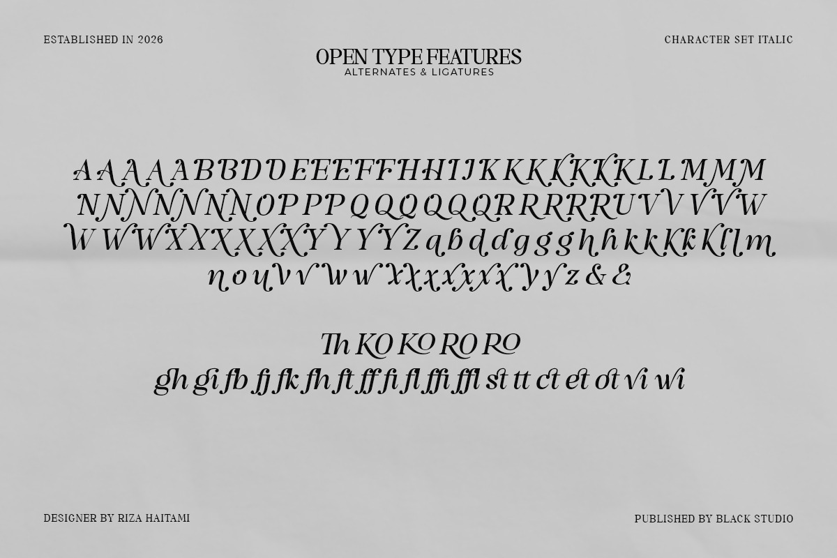 The Serifon Editorial, a Serif Font by Black Studio (Photo 17 of 17)