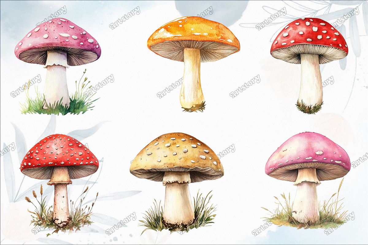 Watercolor Mushroom Clipart, an Illustration by designcity5 (Photo 2 of 5)