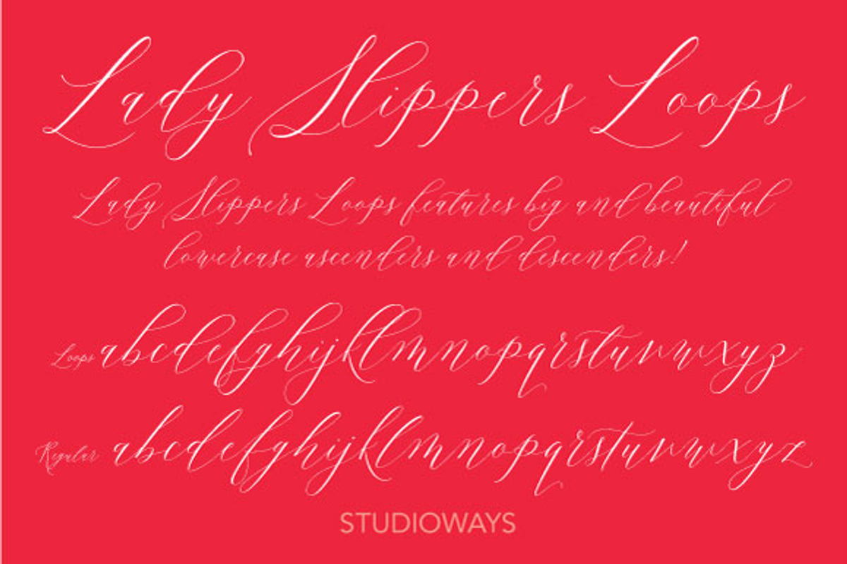 Lady Slippers Loops, a Script Font by STUDIOWAYS (Photo 3 of 6)