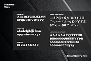 Vintage Rovery, a Serif Font by Vintage Division (Thumbnail 9 of 10)