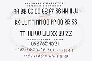 Absolute Smoothie, a Sans Serif Font by FreshTypeINK (Thumbnail 4 of 7)