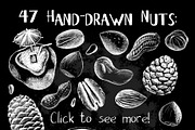 White Chalk Sketched Nuts Clipart, a Food Illustration by RabbitAndPencil (Thumbnail 2 of 5)