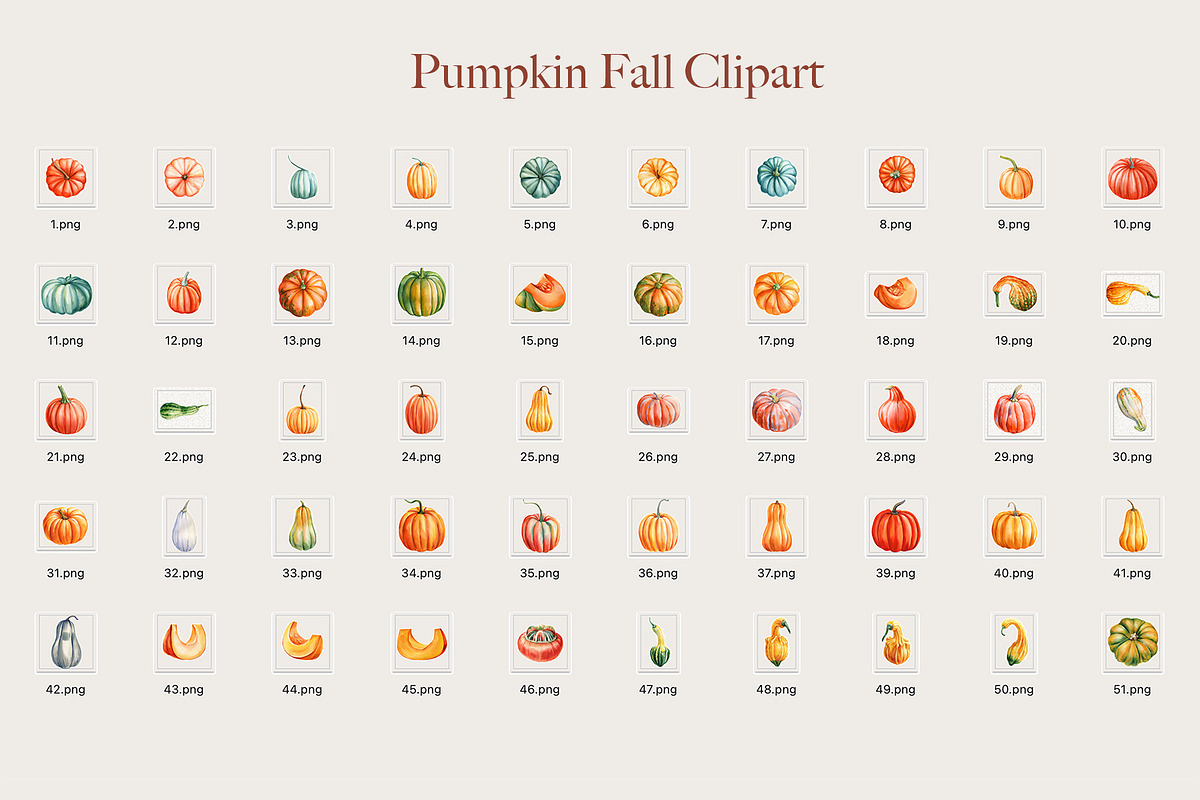 Harvest Thanksgiving fall clipart, a Decorative Illustration by Hanna Hryharenka (Photo 19 of 20)