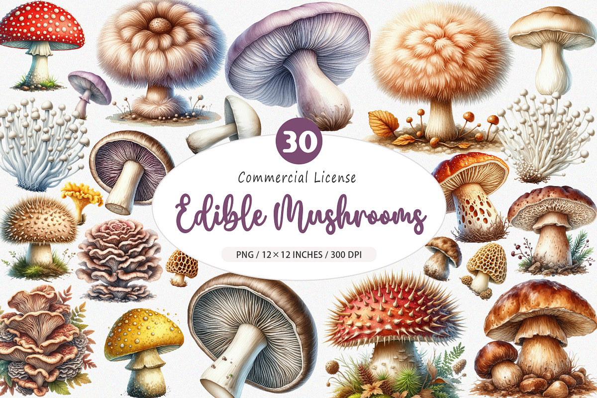 Edible Mushrooms Sublimation Clipart, an Illustration by SinaCreation (Photo 1 of 5)