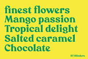 BT Blindern, a Serif Font by BadType (Thumbnail 5 of 9)