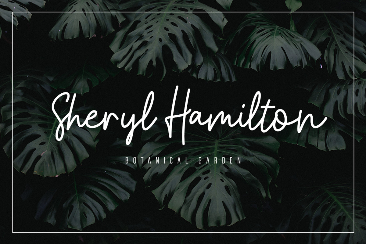 Gwendlyn Script preview 2