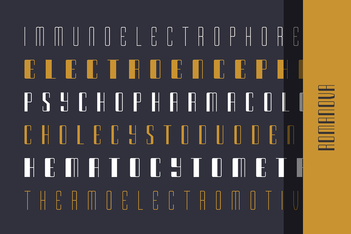 Romanova – A Luxury Font Family, a Sans Serif Font by alpercakici (Photo 9 of 19)