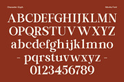 Movita Stylish Font Typeface, a Serif Font by OV Type (Thumbnail 2 of 10)