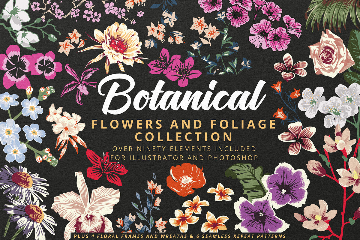 Botanical - Tropical Flowers, an Illustration by Sault Design (Photo 1 of 5)