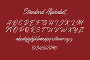 Ranshell - Dry Brush Script, a Script Font by Letterhend Studio (Thumbnail 6 of 8)