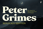 Giraffe Bold Serif Font, a Serif Font by Fenotype (Thumbnail 10 of 10)