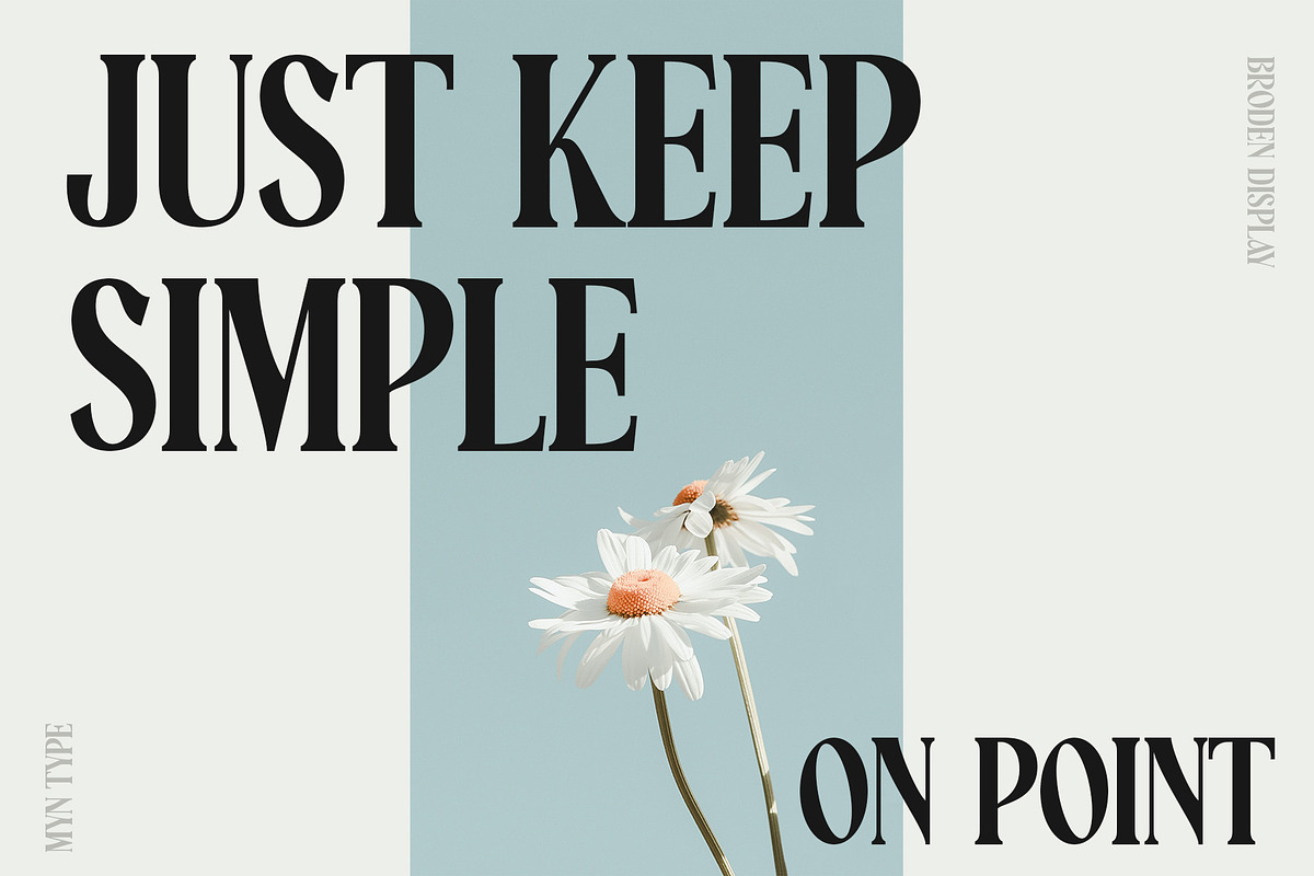 Broden Display - Unique Modern Serif, a Serif Font by Myn Type (Photo 15 of 16)