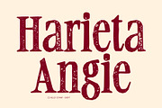 CS Adley Stamp, a Serif Font by Craft Supply Co. (Thumbnail 3 of 8)