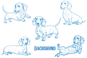 Hand-Drawn Dachshund Dog Vector, an Animal Illustration by MkStudio
