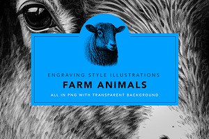 Famr Animals - Illustrations