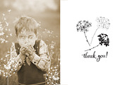 Wildherbs and flowers., an Object Graphic by maritime_m (Thumbnail 8 of 8)