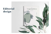 The Vegetables Collection, a Food Illustration by dicreate (Thumbnail 11 of 14)