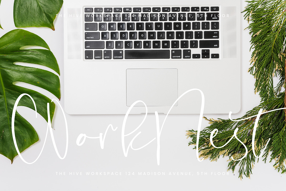 Staly Celestial, a Handwritten Font by Integritype Studio (Photo 3 of 15)