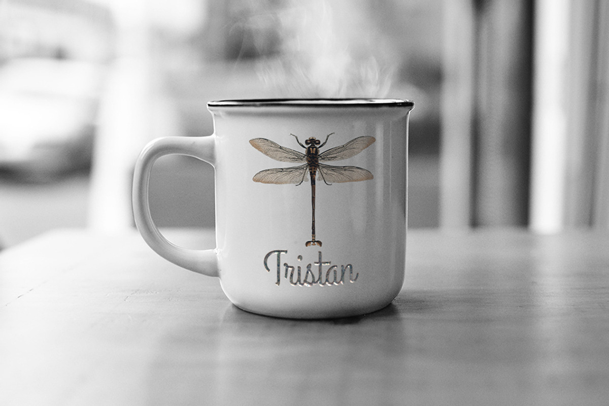 Dragonfly Australian Vintage Insect, an Illustration by Enliven Designs (Photo 2 of 8)