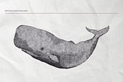 The Seagulls and  Their Sea Friends, an Animal Illustration by Kurakoza (Thumbnail 4 of 18)