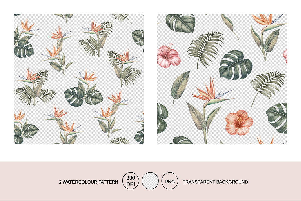 50% OFF! Tropical  jungle, a Pattern Graphic by Kotkoa (Photo 5 of 11)