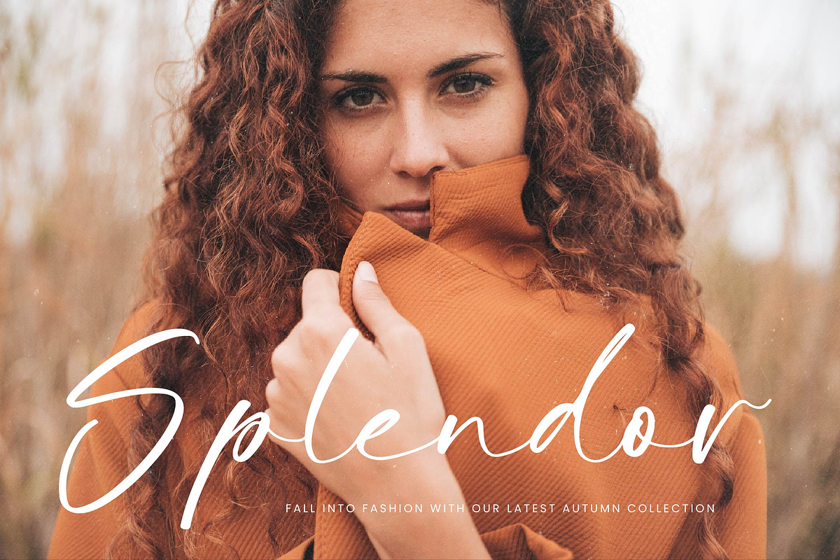 Autumn Silent Modern Handwritten, a Script Font by Letterena Studios Script (Photo 7 of 15)