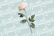 The Landing, a Script Font by Natural Ink Studio (Thumbnail 4 of 10)